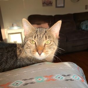 Meet your Posher, Katherine